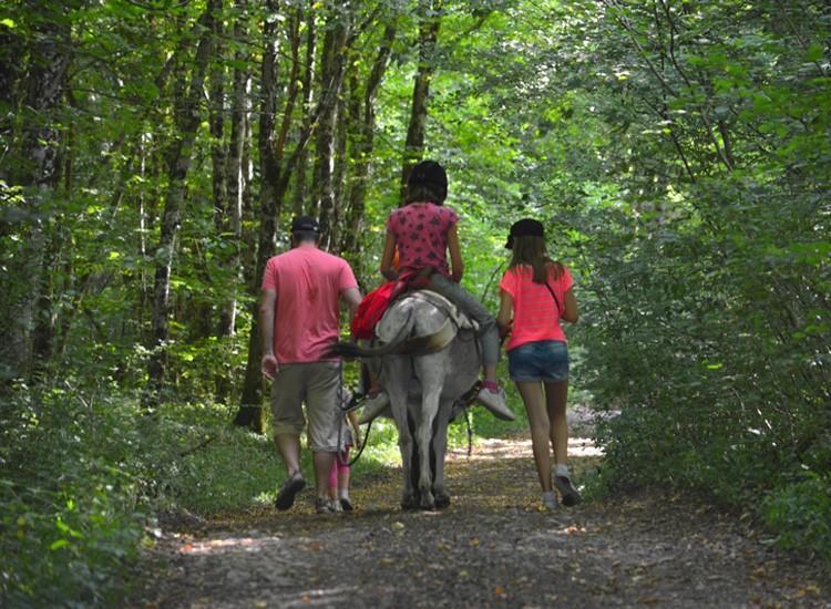 Ferme Pedagogique " L'Bout D'Chemin" Villa Genevreuille Exteriör bild