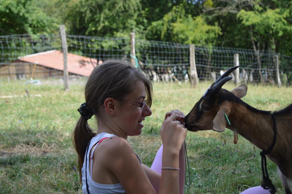 Ferme Pedagogique " L'Bout D'Chemin" Villa Genevreuille Exteriör bild